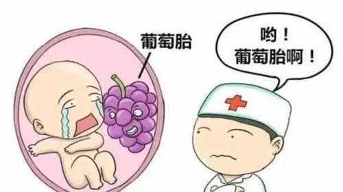 郑州三大助孕机构排名第一名是哪个,2023郑州供卵助孕机构排名公布，附郑州最