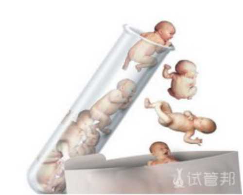 上海精因宝贝生殖中心[供卵试管代生],信阳三代试管可以移植2个胚胎吗？
