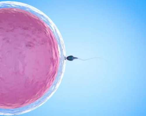2023郑州供卵助孕机构排名公布，附郑州最大的供卵机构详情-中国医院不能验血