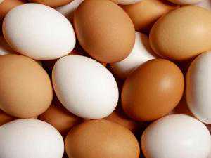 供卵取卵个数[广州传承生殖中心同和],三明供卵试管生孩子价格,长沙供卵三代